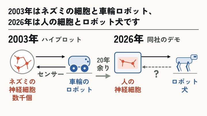 ハイブロットから20年