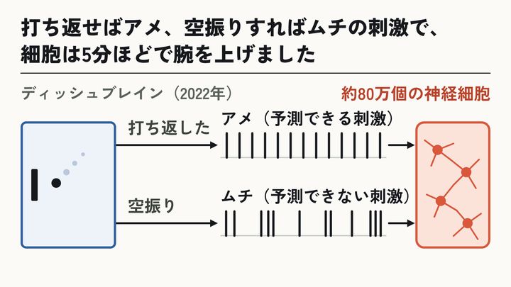 Pongのアメとムチ