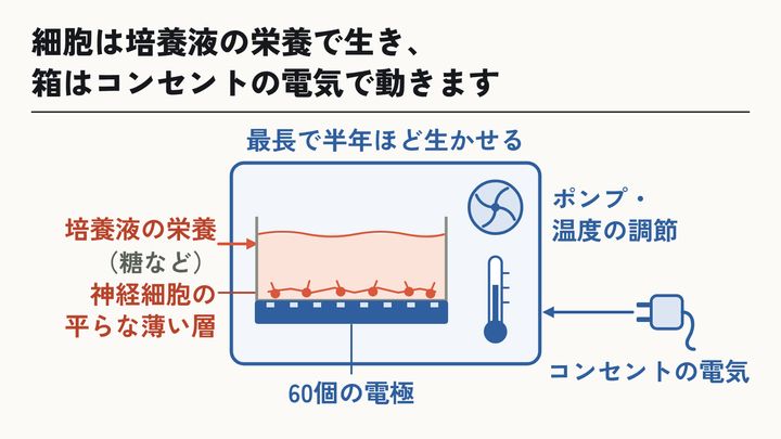CL1の中身とエネルギー