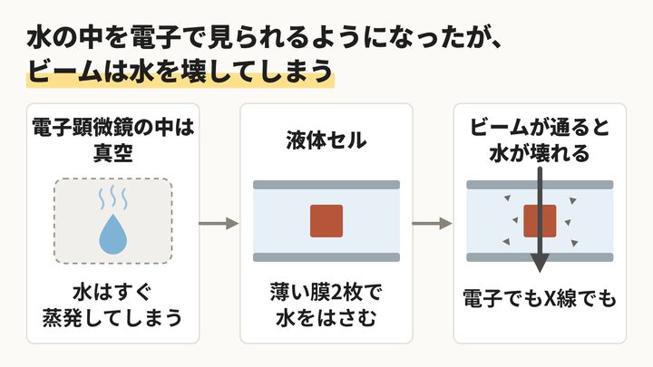 水の中を電子で見られるようになったが、ビームは水を壊してしまう
