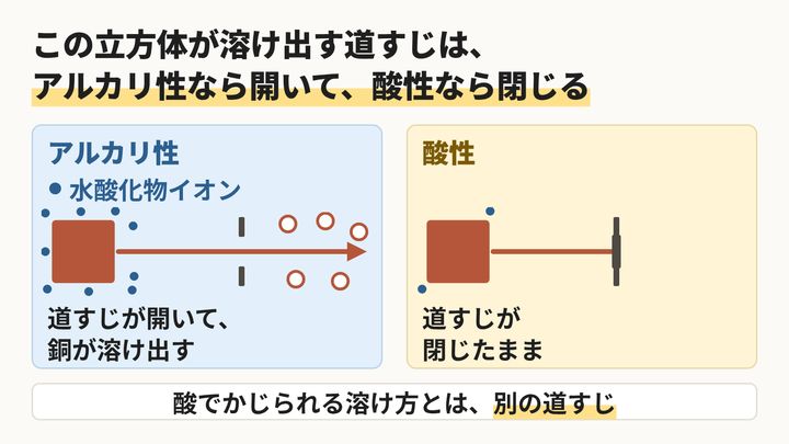 溶け出す道すじは、水酸化物イオンしだい 