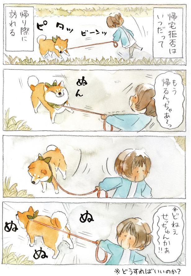 帰るんっちゃあ～っ (C)犬山スケッチ／KADOKAWA