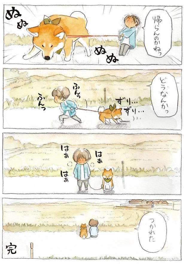 帰らんのかねっ (C)犬山スケッチ／KADOKAWA