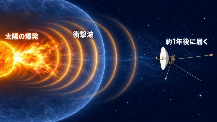 太陽の爆発で生まれた波が、泡の外にいるボイジャーまで届くようすのイメージ図です。静かな湖に石を投げたときのように、波が探査機の周りのプラズマを揺らします。