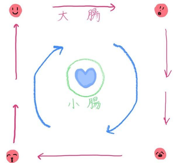 腸もみ手順