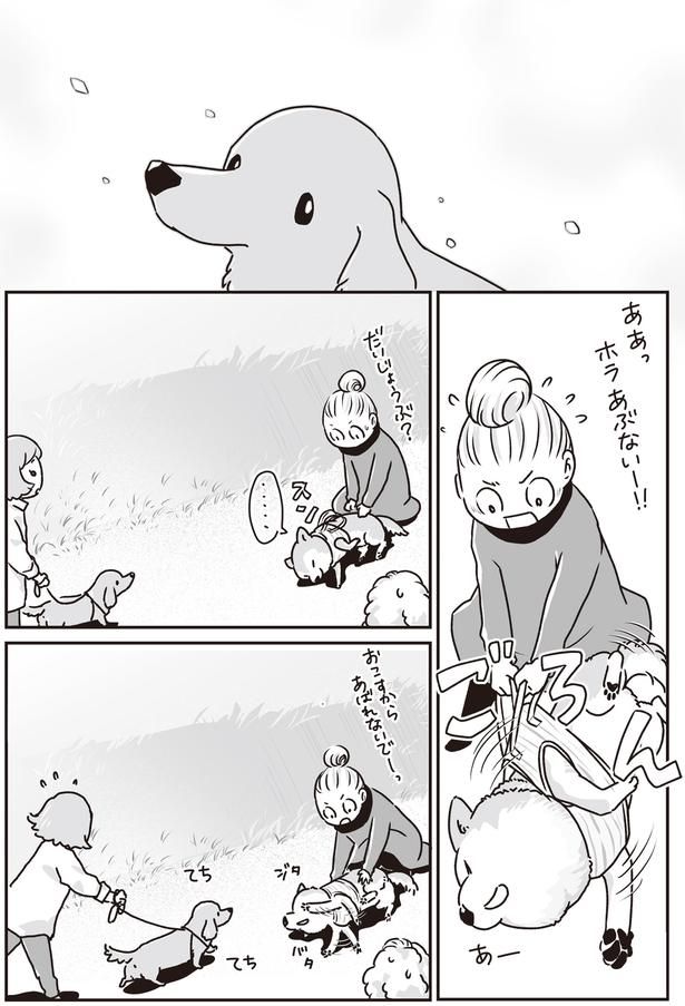 ホラあぶないー！！ (C)真希 ナルセ／KADOKAWA