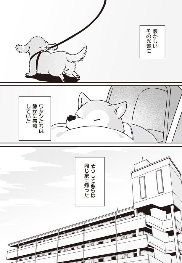 静かに感動していた (C)真希 ナルセ／KADOKAWA