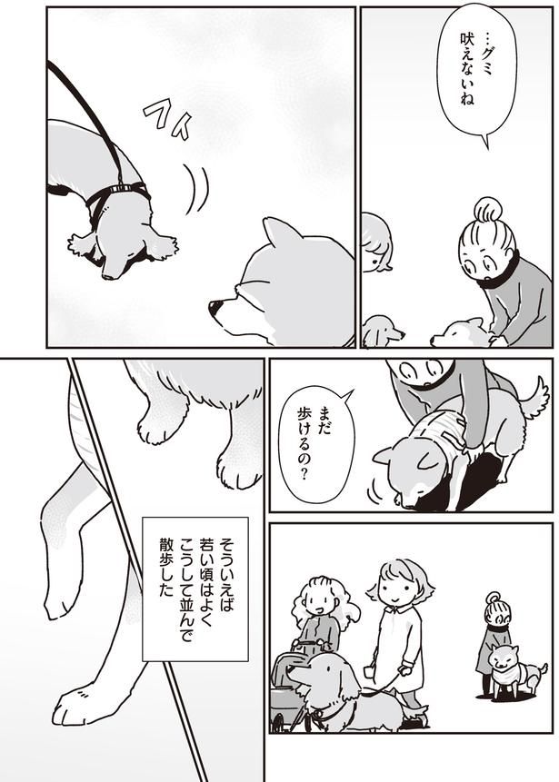 吠えないね (C)真希 ナルセ／KADOKAWA