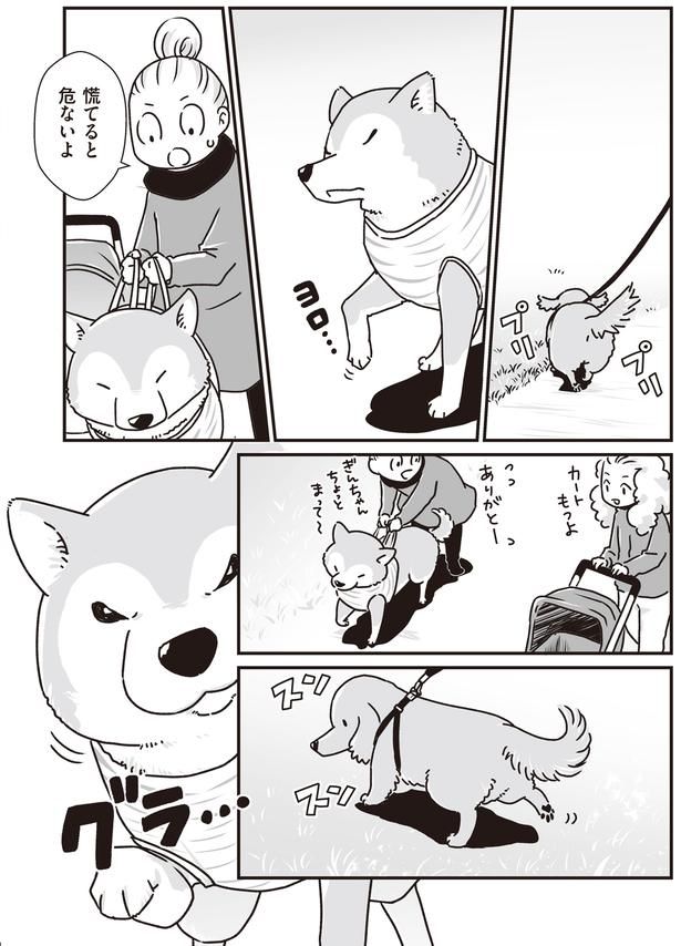 慌てると危ないよ (C)真希 ナルセ／KADOKAWA