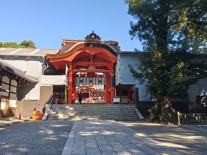 藤花 (321424)