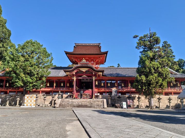藤花 (321425)
