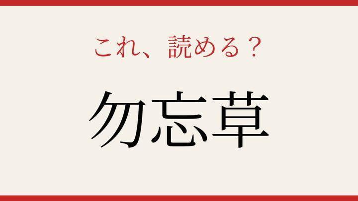 【難読漢字】あなたは読める？小さな青い花の漢字名の問題画像