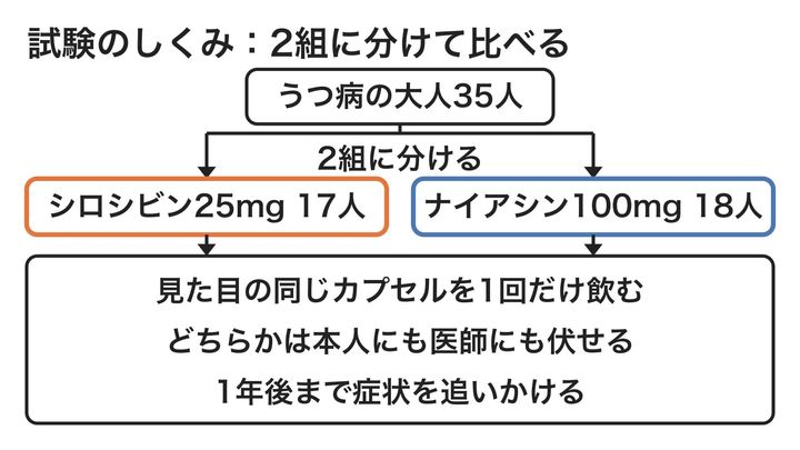 参加者を2つの組に分け、中身だけが違うカプセルを1回飲んでもらって比べた試験の流れを示した図です。ナイアシンは体のほてりを起こす「作用のある偽薬」で、どちらの組も同じ回数の心理的なサポートを受けました。