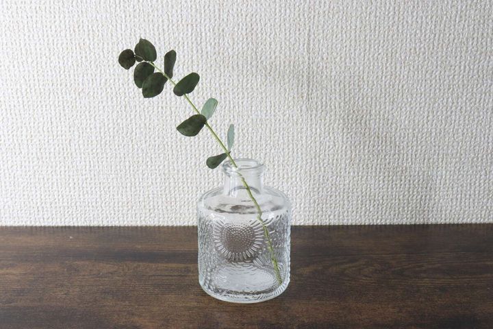 透明なグラスベースにユーカリの葉の枝が一輪挿されている様子