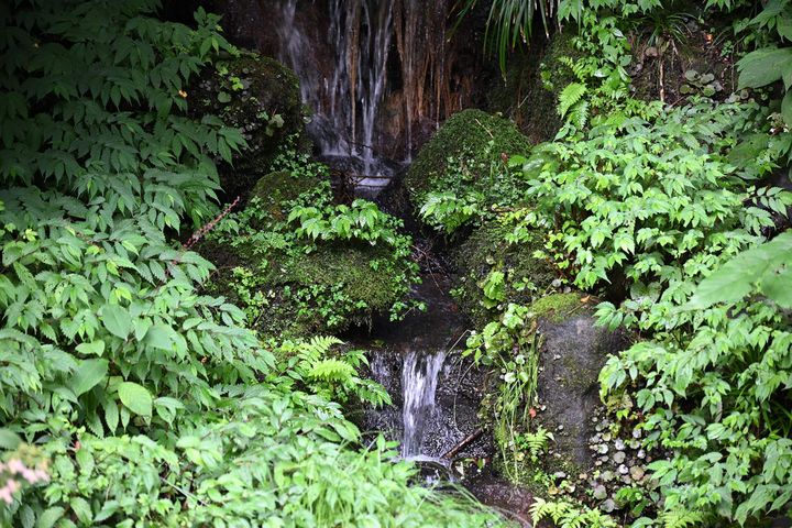 「妙月坊」庭園の滝