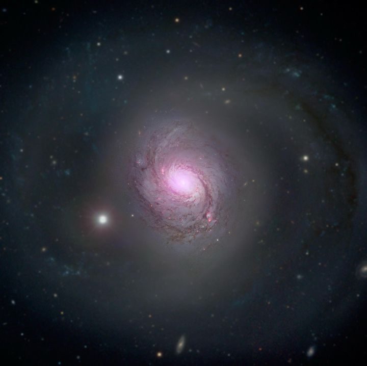 銀河NGC 1068を、目に見える光と強いX線で写して重ねた画像です(赤紫がX線)。X線は中心にある活発な巨大ブラックホールから出ていて、このブラックホールは厚いガスとちりの雲に包まれています。今回の謎の光とは別の銀河です。
