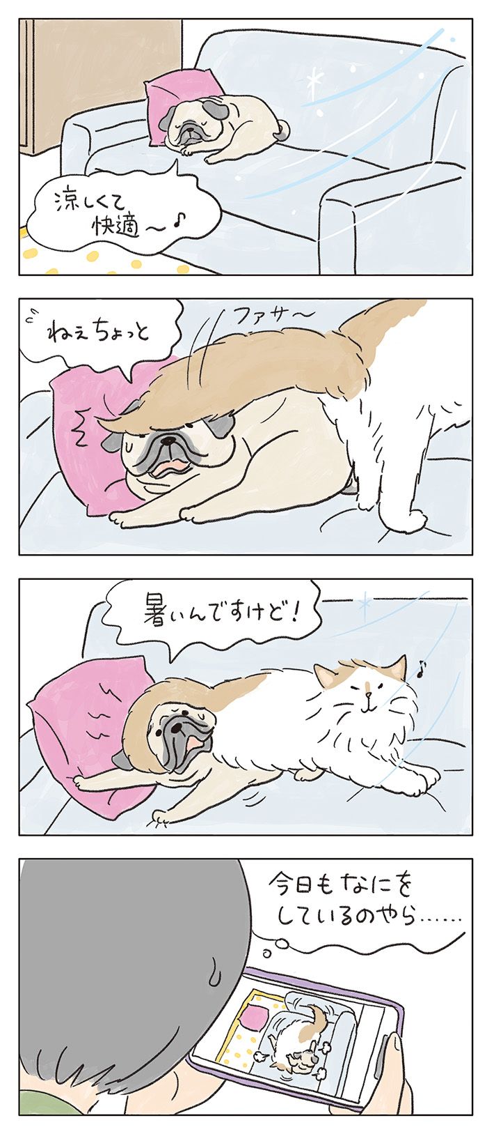 読み切りネコマンガ「見られていいるとはつゆ知らず」