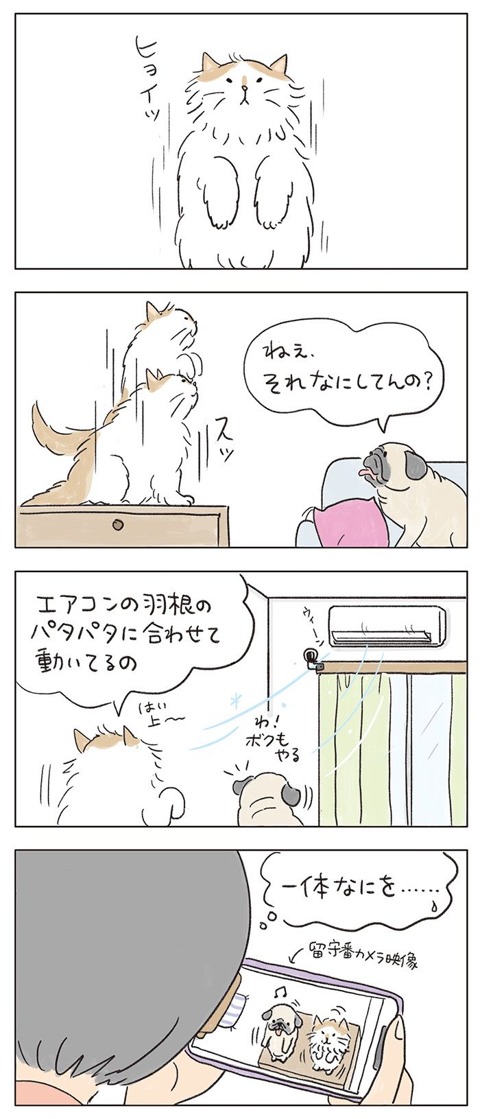読み切りネコマンガ「見られていいるとはつゆ知らず」