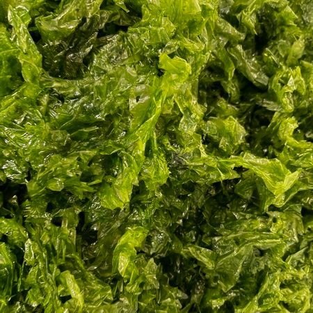 福岡の素材の魅力に触れ自分だけのジンを造る、リトルフラワー蒸留所の「ブレンド体験」