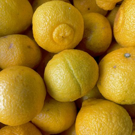 福岡の素材の魅力に触れ自分だけのジンを造る、リトルフラワー蒸留所の「ブレンド体験」