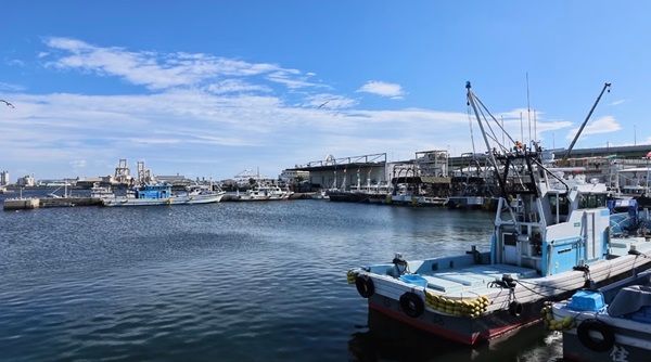 大阪の海の恵みを味わえるラーメン店「IRIKO」が岸和田に誕生！煮干しの旨味を引き出した出汁は動物性の油不使用