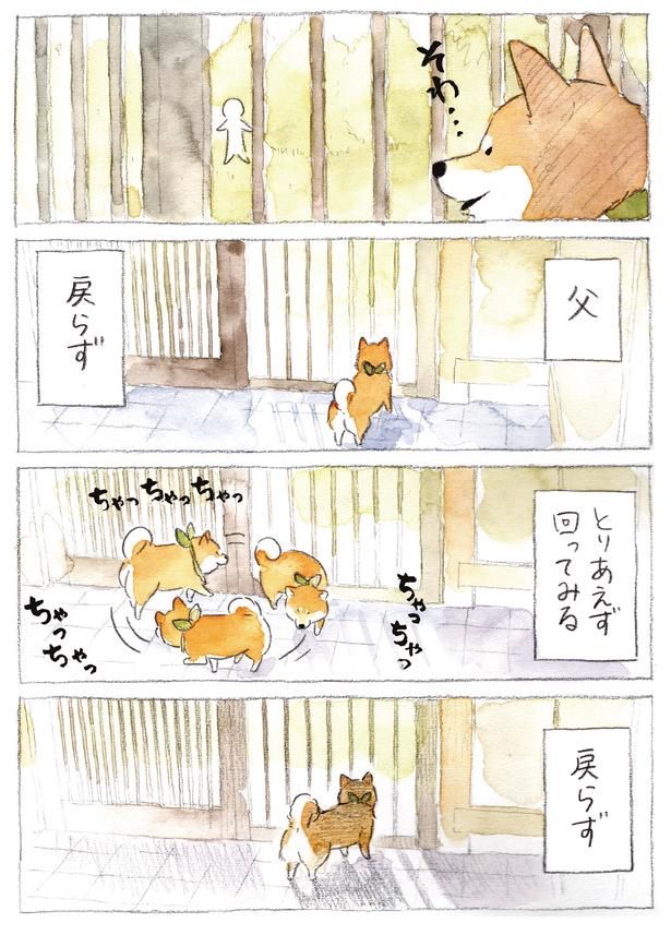 父 戻らず (C)犬山スケッチ／KADOKAWA