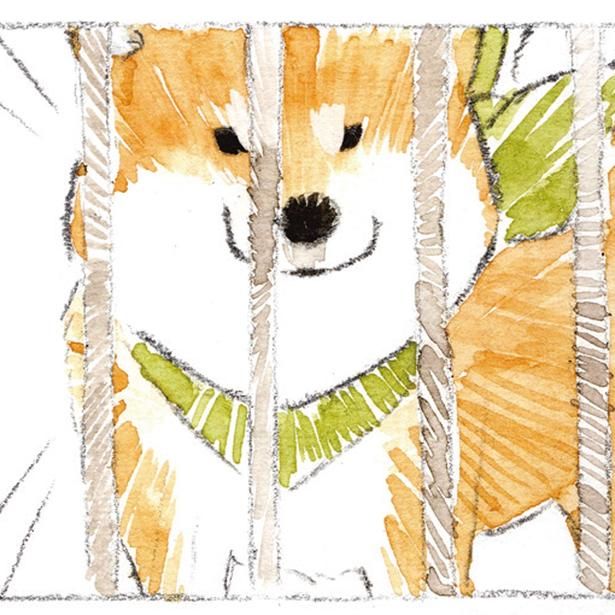 お散歩を期待！ (C)犬山スケッチ／KADOKAWA