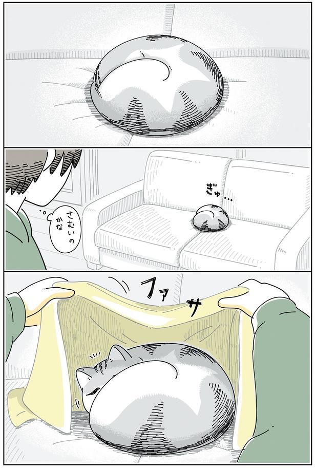寒いのかな？ （C）キュルZ／KADOKAWA