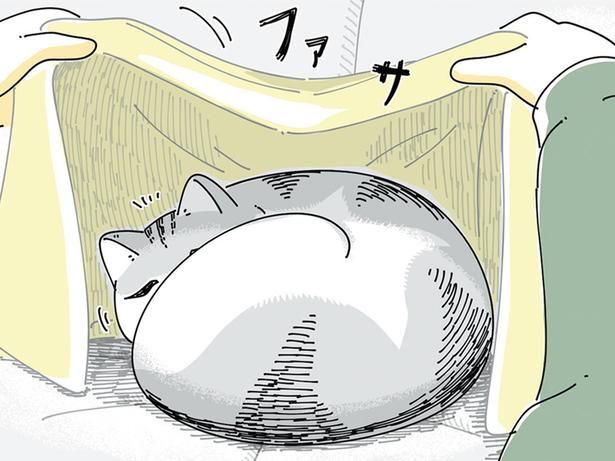 布団をかけてみたら （C）キュルZ／KADOKAWA