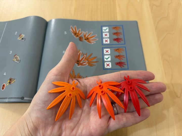 もみじの葉の色は3色