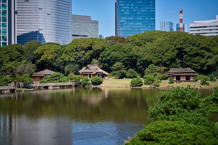 「富士見山」から見渡すと、池と御茶屋の配置がわかりやすい