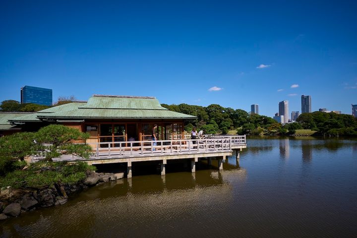 抹茶と和菓子を楽しめる「中島の御茶屋」