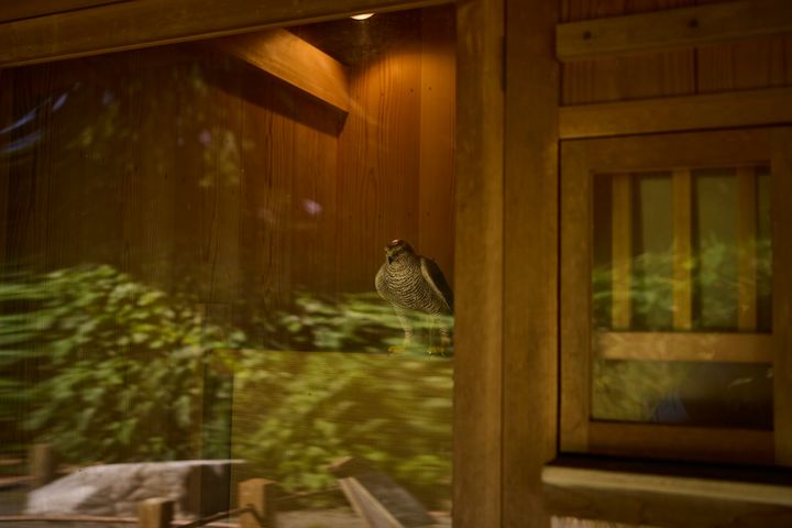 鷹を休ませるために設けられた「鷹部屋」