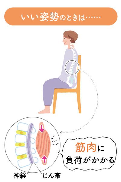 首や肩、腰の痛みは背骨がゆがんでいる証拠