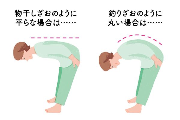 チェック2：おじぎをしたとき、背中のカーブはどうなっている？