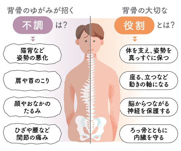背骨のゆがみがあらゆる不調を招きます