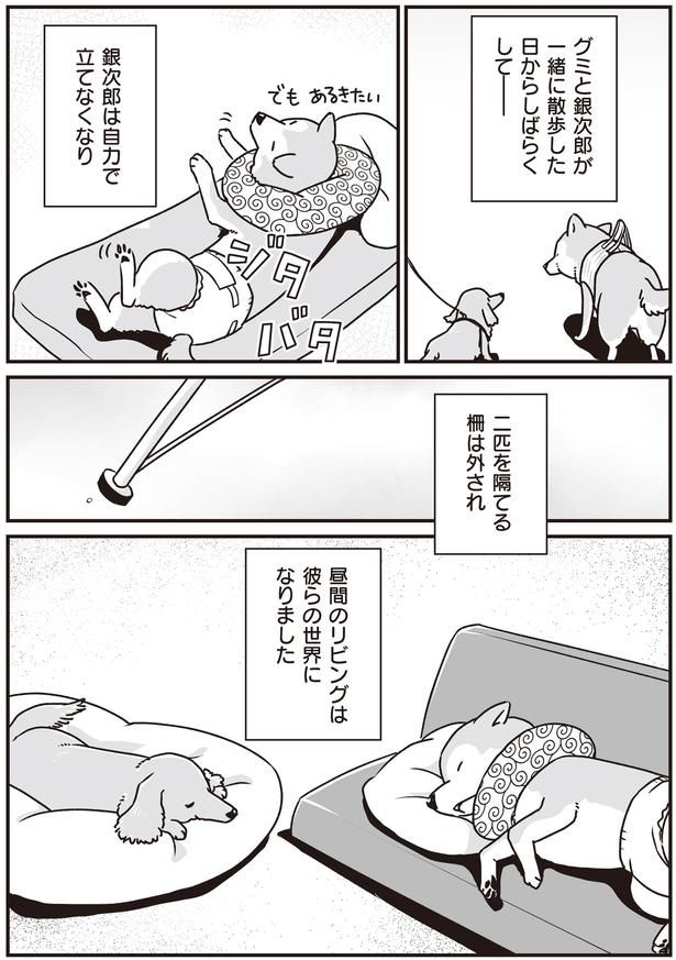 2匹を隔てる柵は外され (C)真希 ナルセ／KADOKAWA