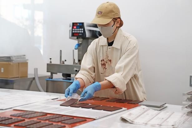 こちらで行われているのは、チョコレートをブロック状に固める作業。固めたチョコレートはブラウニーやドリンクの原料にも使用される
