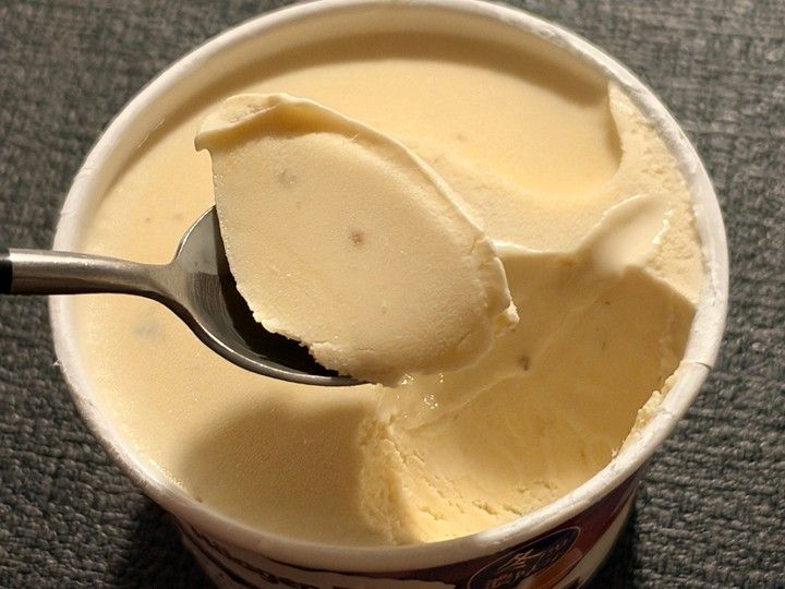 ハーゲンダッツ 冬限定 芳醇ラムレーズン アイス 実食レビュー