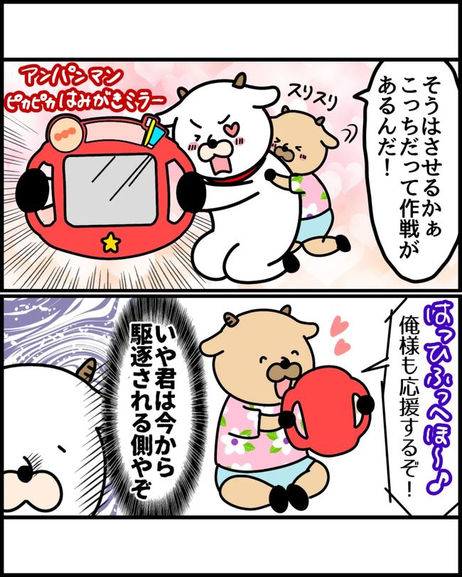 歯磨き_5