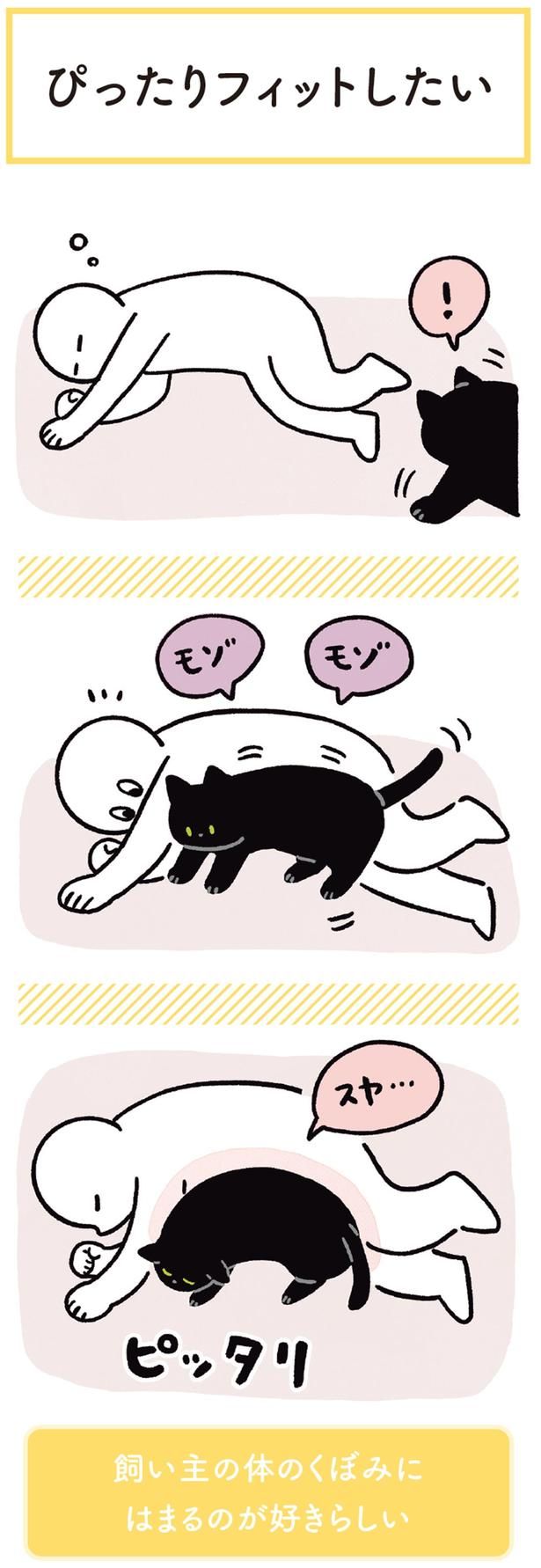 ピッタリ （C）AKR／KADOKAWA