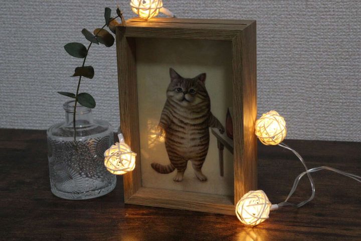 猫の写真立てや花瓶の周りにケーブルライトをディスプレイした様子