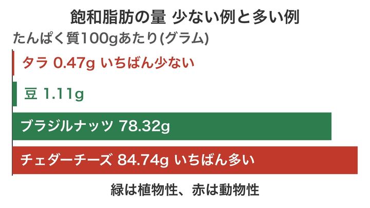 飽和脂肪がとくに少ない食品と多い食品を、同じ量のたんぱく質で比べた図です。少ない側にも多い側にも緑と赤がまじっていて、植物か動物かだけでは良し悪しが決まらないことが分かります。