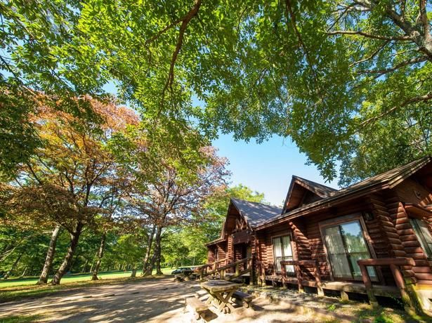 春は桜、秋は紅葉が楽しめる／「休暇村帝釈峡くぬぎの森オートキャンプ場 」 画像提供：休暇村帝釈峡