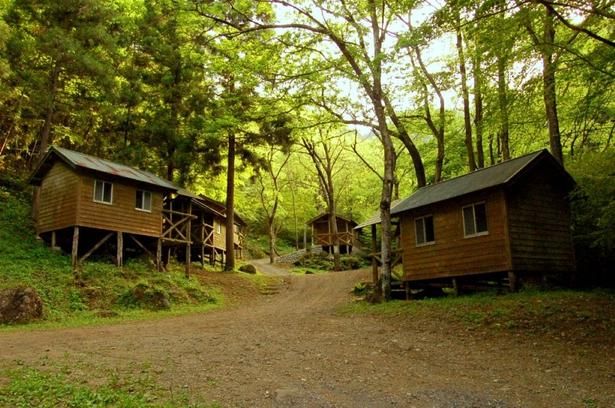 一年を通して豊かな自然を楽しめる／「相模湖休養村キャンプ場」 画像提供：(公社)相模原市観光協会