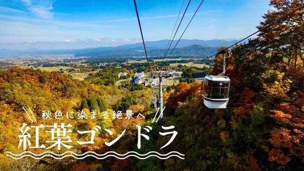 紅葉ゴンドラ ピクニックセットプラン-2食付き