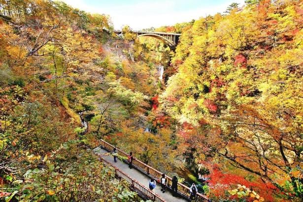 高さ約100メートルの渓谷に広がる紅葉は圧巻/鳴子峡の紅葉 画像提供：鳴子温泉郷観光協会