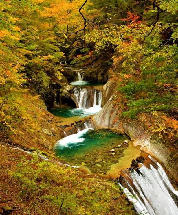 西沢渓谷の美しい眺めを堪能/西沢渓谷の紅葉 画像提供：山梨市観光協会