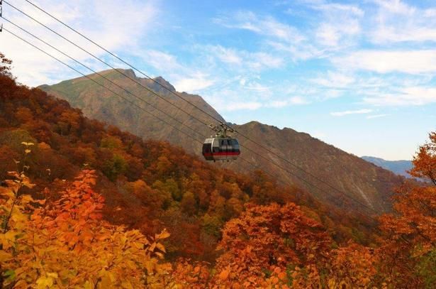 今週末に見頃を迎えそうな紅葉名所を紹介 ※写真は谷川岳の紅葉 画像提供：みなかみ町観光協会