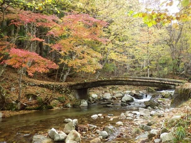 散策しながら紅葉を楽しめる/芦津渓谷の紅葉 画像提供：智頭町観光協会